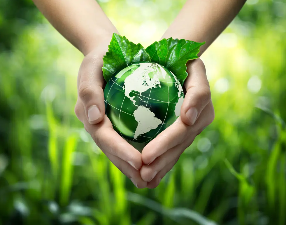 關(guān)于綠色印刷，這些你都知道嗎？